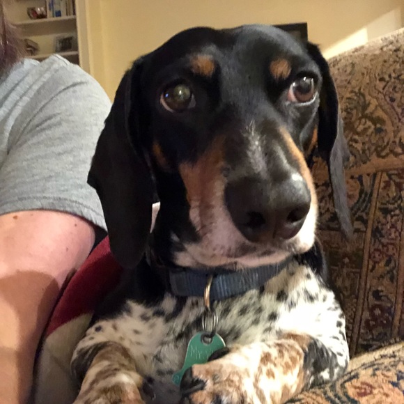 Meet your Posher, Kathy - Picture 6 of 8